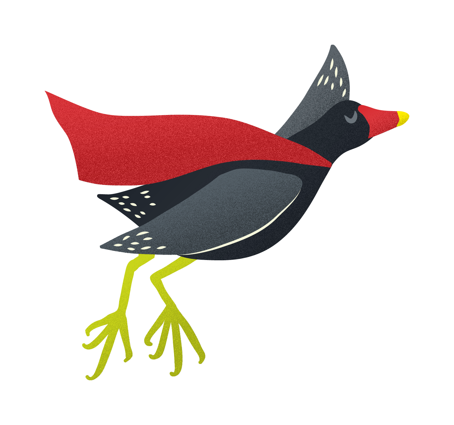 Stowarzyszenie Kurka Wodna