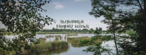 Zdjęcie: Przyrodnicze Diamenty Katowic – wystawa w bibliotekach